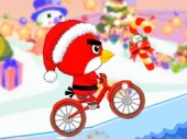Birdy Bycicle