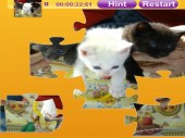 Cute Kittens Jigsaw