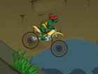 Ninja Turtle Bike