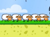 Angry Sheep