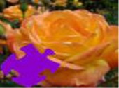 Autumn Rose Jigsaw