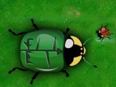 Beetle Wars