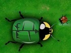 Beetle Wars