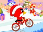 Birdy Bycicle