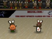 Bunny B-Ball