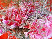 Carnation Topiary Jigsaw