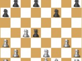 Chess Story