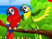 Colourful Parrots