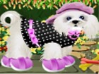 Cute Puppy Dressup