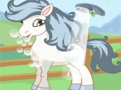 Cutie Pony Care