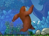 Elder Bear Run