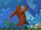 Elder Bear Run