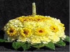 Fall Carnation Cake Jigsaw