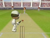 Flash Cricket 2