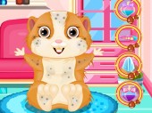 Fluffy hamster salon