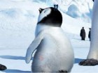 Hidden Numbers Happy Feet two