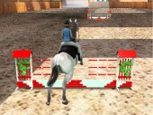 Horse Jumping 3D