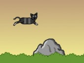 Jumpcat