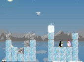Lonely Penguin