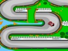 Mini Rally