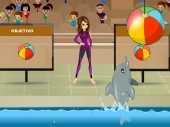 My Dolphin Show