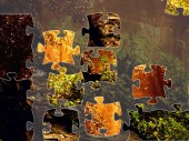 Nature Jigsaw Puzzle