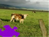 Pasture Jigsaw