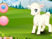 Pet Stars: Lovely Lamb