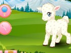 Pet Stars: Lovely Lamb