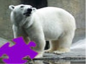 Polar Bear Jigsaw