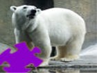 Polar Bear Jigsaw