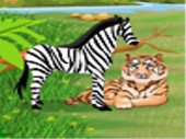 Safari Animals Search