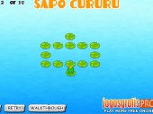 Sapo Cururu