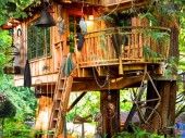Silence of the Tree House