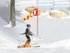 Ski sim