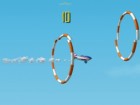 Stunt Pilot