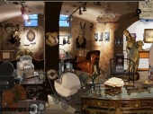 The antique store