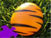 Tiger Egg Jigsaw
