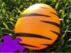 Tiger Egg Jigsaw