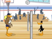 Tricky Duck Volleyball