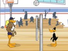 Tricky Duck Volleyball