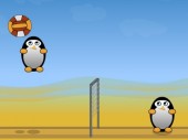 Volleyball Penguins