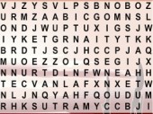 Word Search