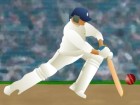 World Cup Cricket Game Practice
